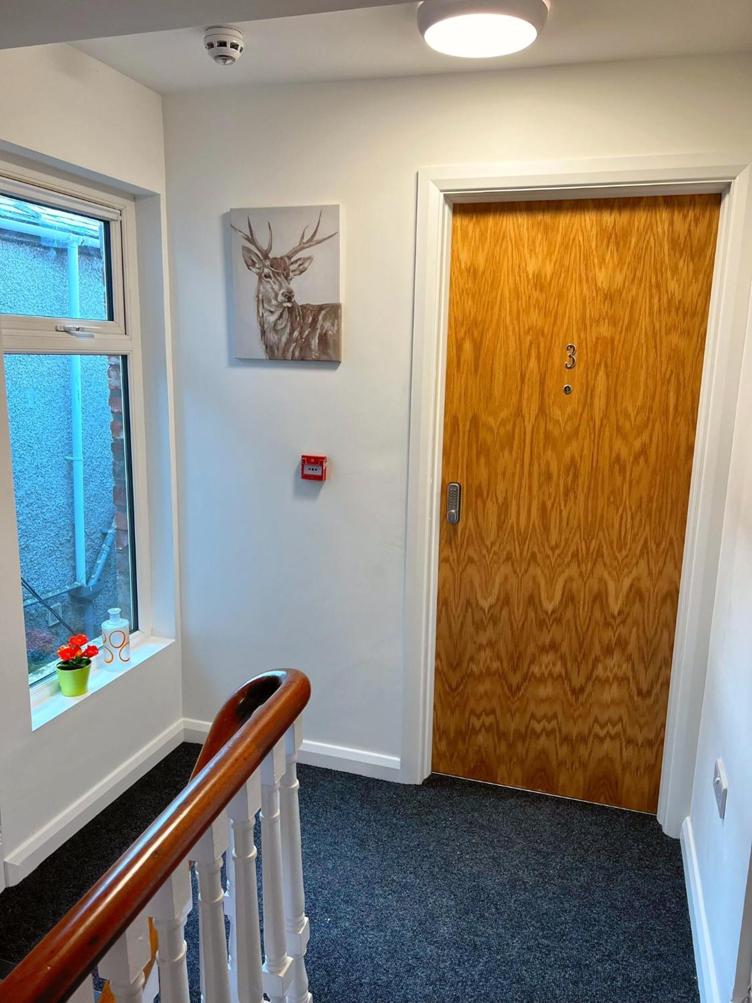 Bangor Central Apartments מראה חיצוני תמונה